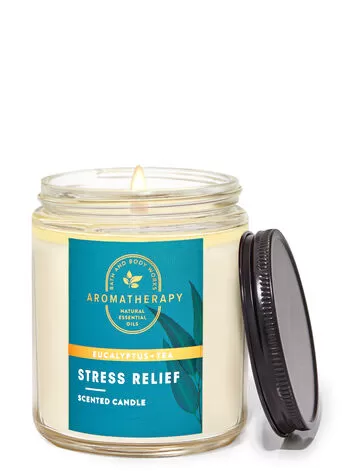Aromatherapy Eucalyptus Tea Mason Single Wick Candle