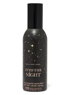 Into The Night Concentrated Room Spray