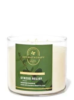 Aromatherapy Eucalyptus Spearmint 3-Wick Candle