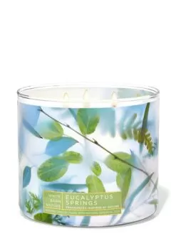 Eucalyptus Springs 3-Wick Candle