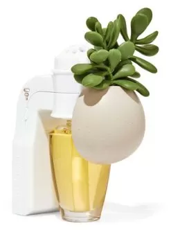 Succulent Planter Wallflowers Scent Control™ Fragrance Plug