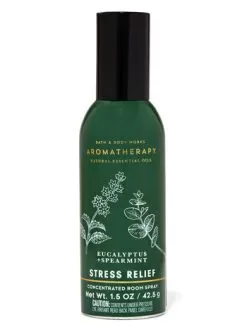 Eucalyptus Spearmint Concentrated Room Spray