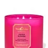 White Barn Cactus Blossom 3-Wick Candle