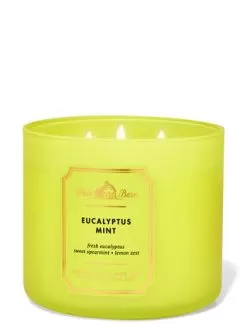 White Barn Eucalyptus Mint 3-Wick Candle