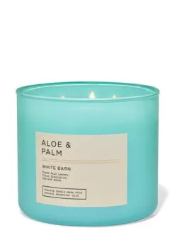 White Barn Aloe & Palm 3-Wick Candle