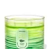 Warm Ocean Breeze 3-Wick Candle