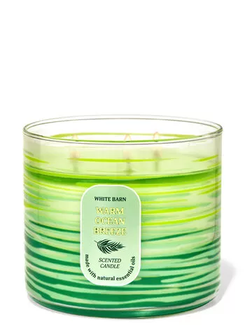 Warm Ocean Breeze 3-Wick Candle