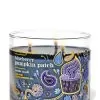 Blueberry Pumpkin Patch 3-Wick Candle