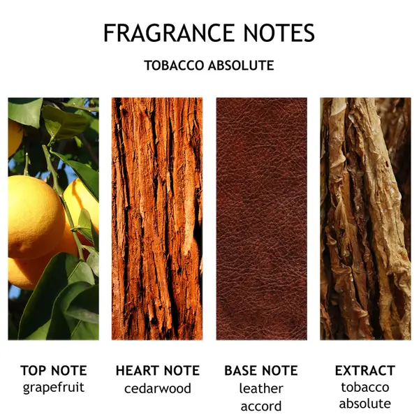 Molton Brown Tobacco Absolute Single Wick Candle 180g - Image 6