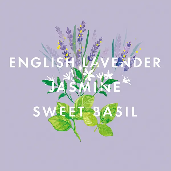 NEOM Scent To Sleep Essential Oil Blend 10ml - Image 4