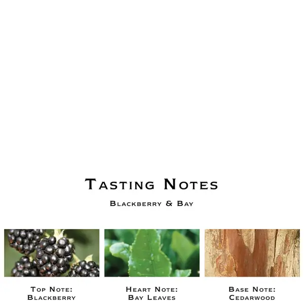 Jo Malone London Blackberry And Bay Home Candle 200g - Image 3