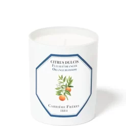 Carrière Frères Scented Candle Orange Blossom - Citrus Dulcis - 185 G