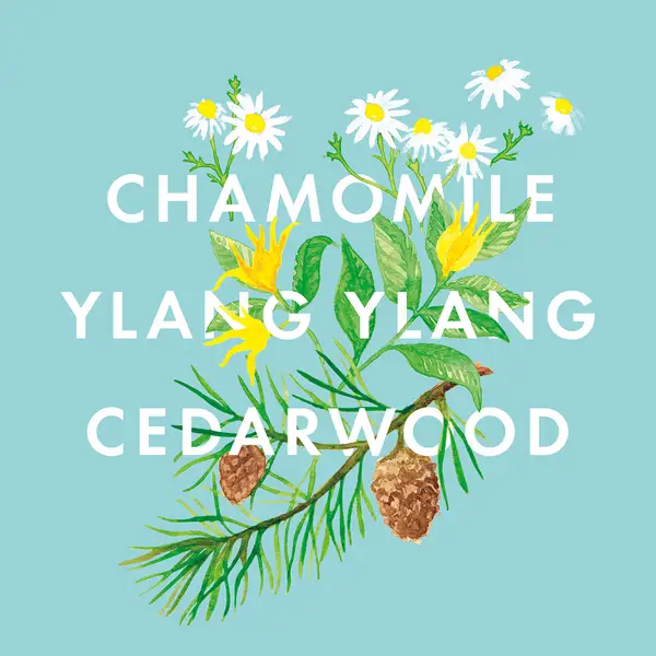 NEOM Bedtime Hero Travel Scented Candle 75g - Image 3