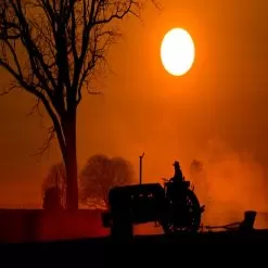 Amish Harvest Fragrance Oil