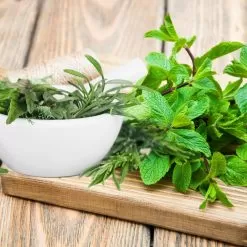 Basil Sage & Mint Fragrance Oil