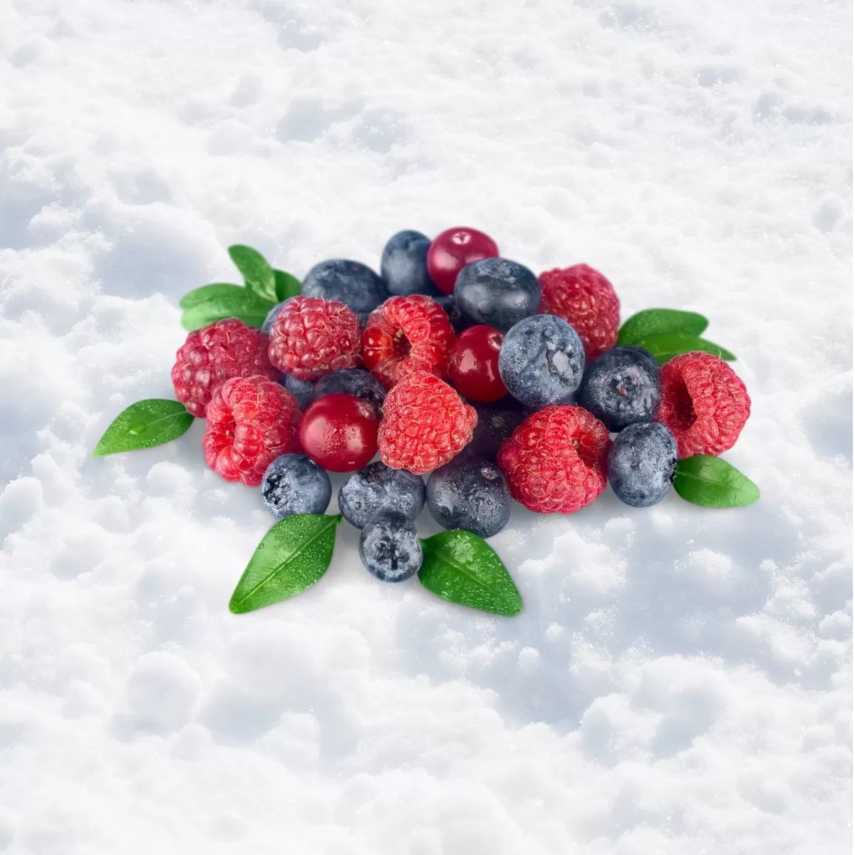 Berries In The Snow Fragrance Oil