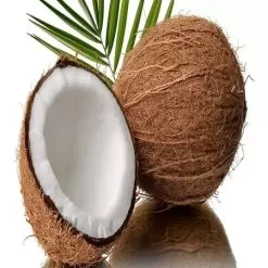 Coconut Fragrance Oil