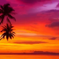 Fiji Sunshine Fragrance Oil (BBW Type)