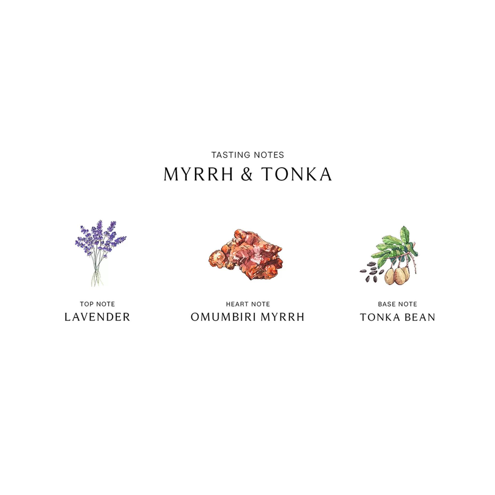 Myrrh And Tonka Home Candle - Image 5