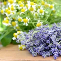Lavender Chamomile Fragrance Oil