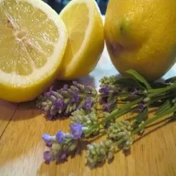 Lavender Lemon Fragrance Oil