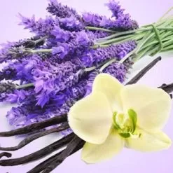 Lavender Vanilla Fragrance Oil