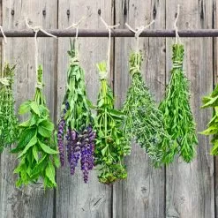 Lavender Patchouli Fragrance Oil