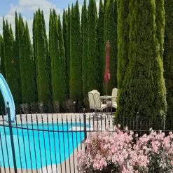 Pool Day Fragrance Oil