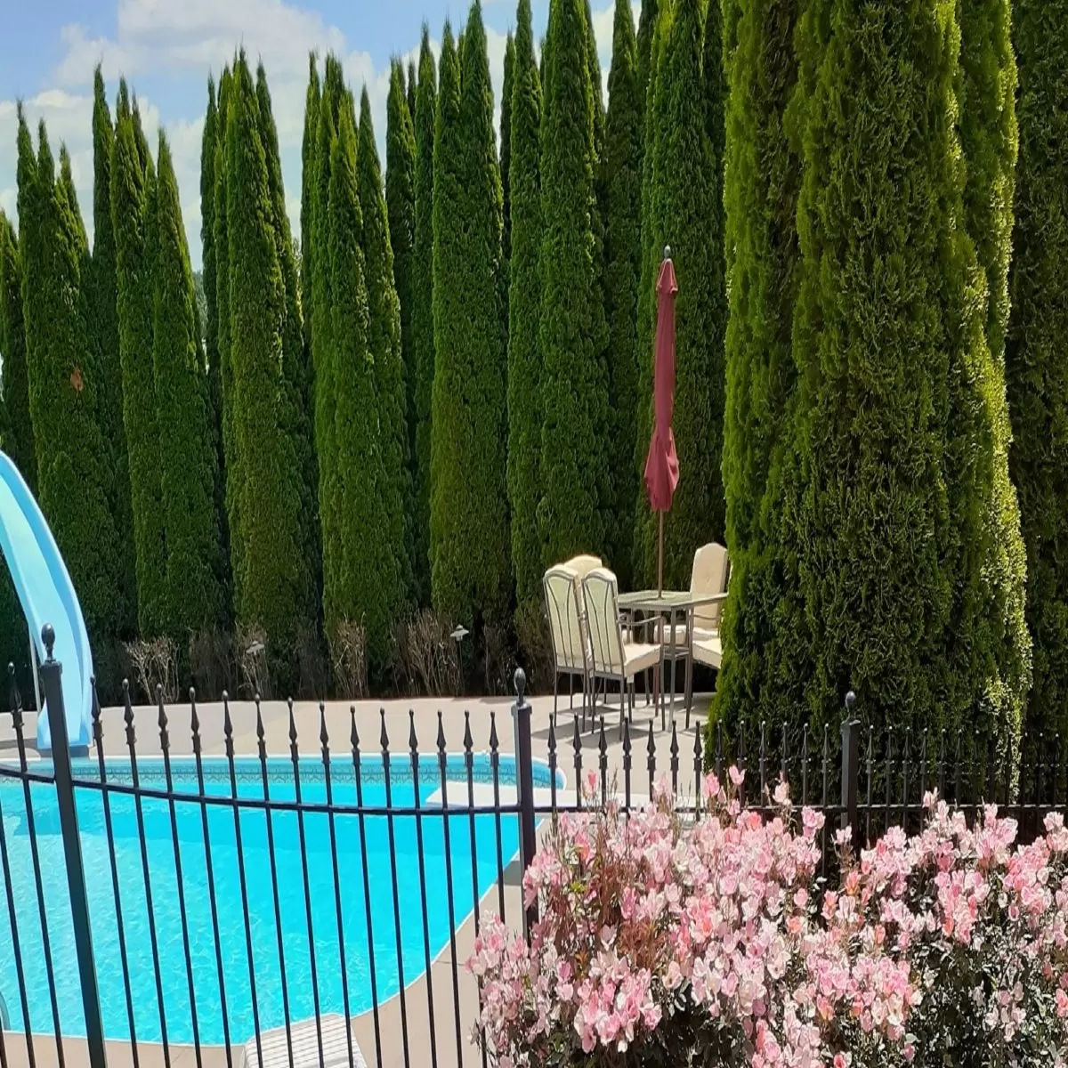 Pool Day Fragrance Oil