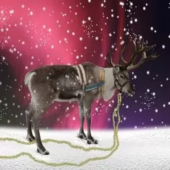 Reindeer Poo Fragrance Oil