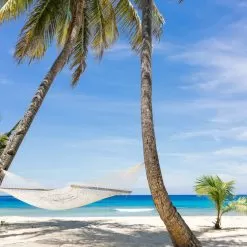 Spiced Fiji Fragrance Oil