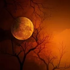 Vampire Blood (BBW Type) Fragrance Oil