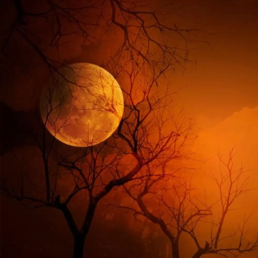 Vampire Blood (BBW Type) Fragrance Oil