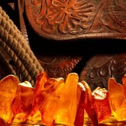 Warm Leather & Amber Fragrance Oil