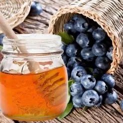 Wild Huckleberry Honey Fragrance Oil